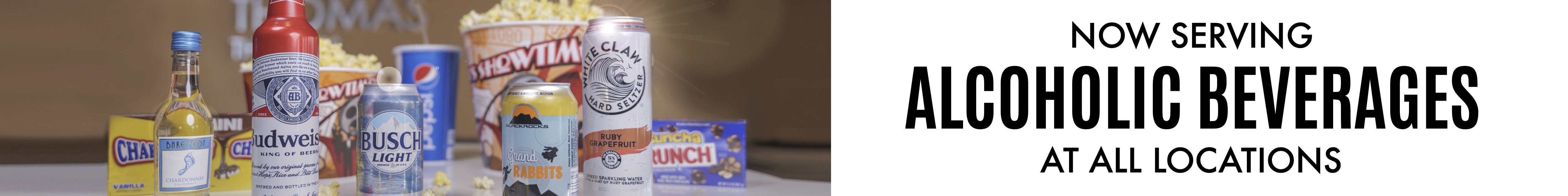 TriCity Cinemas 8 Thomas Theatre Group Quinnesec, Michigan movie